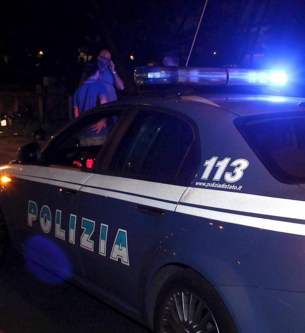 Rumori alla festa, sgomberato il parco