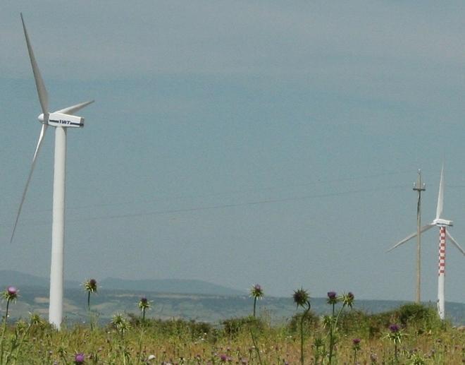 L’eolico in aiuto dell’agricoltura 