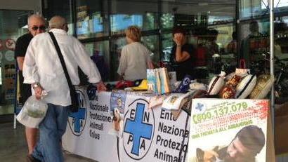 Numero verde per il soccorso animali