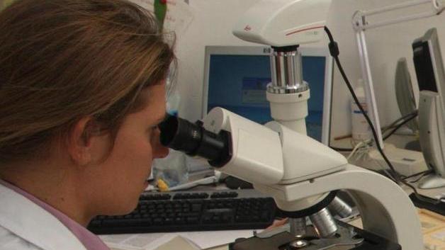 Cotrozzi (Cisl): «L’Asl contrasti il trasferimento di anatomia patologica»