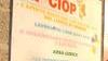 «Cip Ciop, in Comune sapevano»