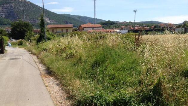 Tante proteste in via Guerrazzi «Erba alta e sporco vicino a casa»