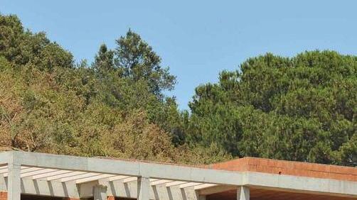 Collina sfregiata e i sindaci ora litigano