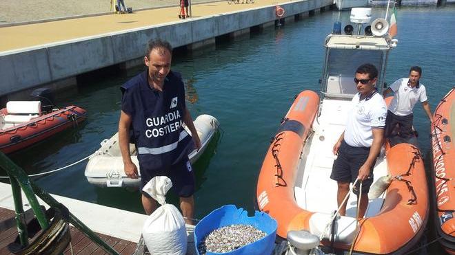 Pesca abusiva, sequestrato un quintale di telline