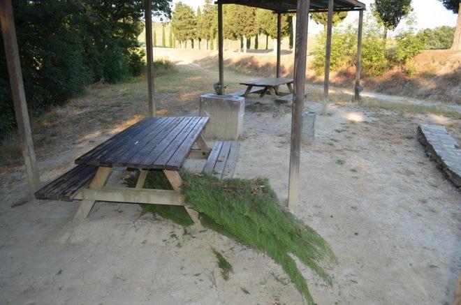 Sradicati cipressi nel parco di Canonica 