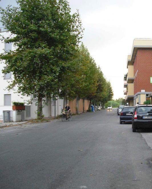 Via della Repubblica resterà alberata, ma per ora al buio 