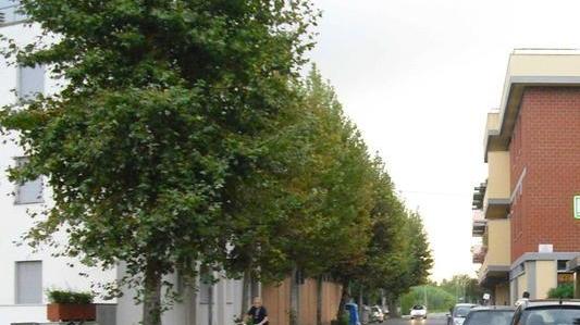 Via della Repubblica resterà alberata, ma per ora al buio