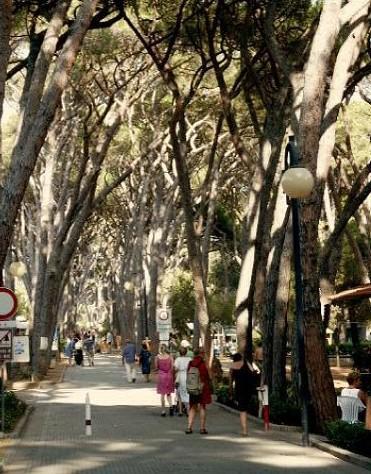 Piano pineta, presto il bando 