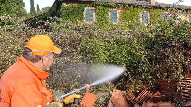 Rogo lungo i binari 9 chilometri in fumo e paura nelle case