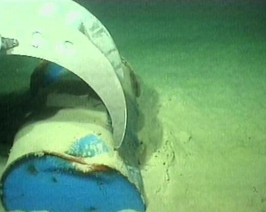 Protezione animali: non smettete di cercare i bidoni tossici finiti in mare 