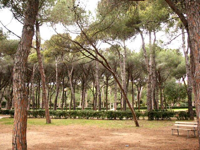 Pineta Marradi, un concorso per raccogliere idee e progetti 