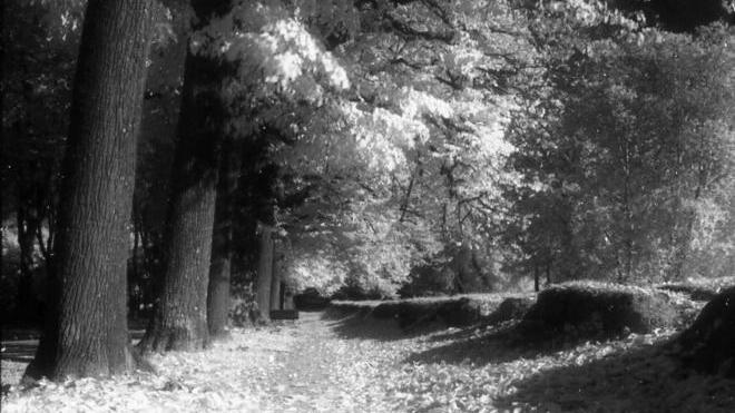 Mura, decine di foto dai nostri lettori