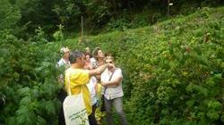 In bus per scoprire le aziende agricole della Montagna