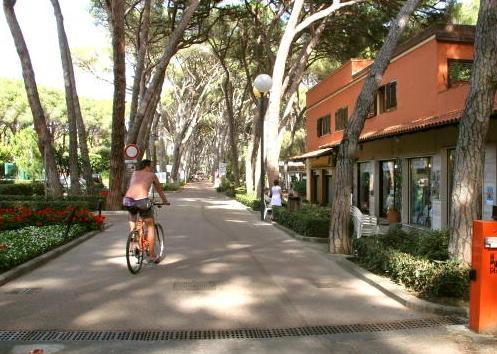 Pineta Marradi, pubblicato il concorso 