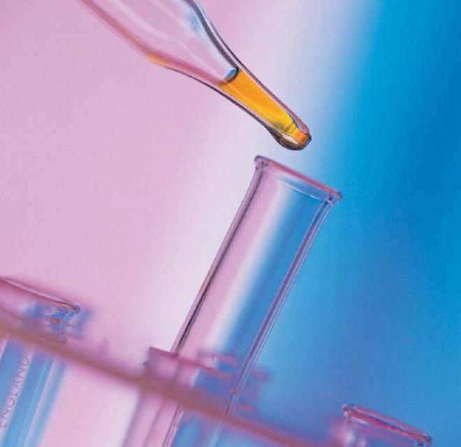Partaccia, l’alga c’è ma non è tossica 