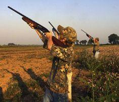 Caccia, pubblicato il calendario venatorio 2013-2014 