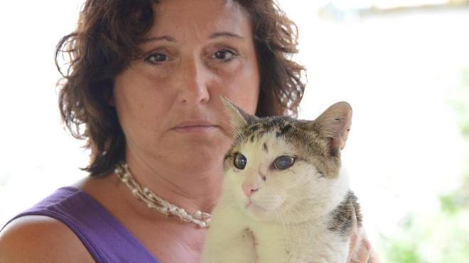 Sparano al suo Birillo il gatto è rimasto cieco