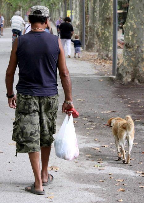 Deiezioni canine, appello ai padroni