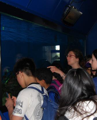 Visite guidate all’acquario Mediterraneo