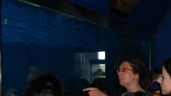 Visite guidate all’acquario Mediterraneo