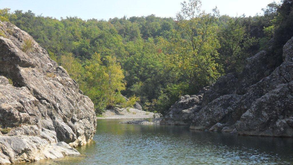 Lite per un cane al Masso, ma manca il regolamento