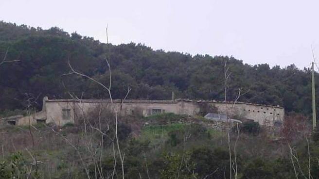 Canile elbano mai realizzato, Barbetti mette in mora i colleghi