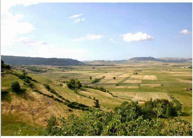 Esposto degli ambientalisti contro la centrale termodinamica da 160 ettari 