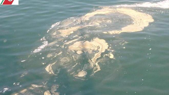 Il mare è sporco? Ma si tratta di alghe e materiali organici
