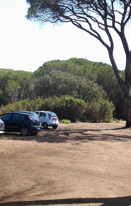 Corsa a ostacoli per il parcheggio 