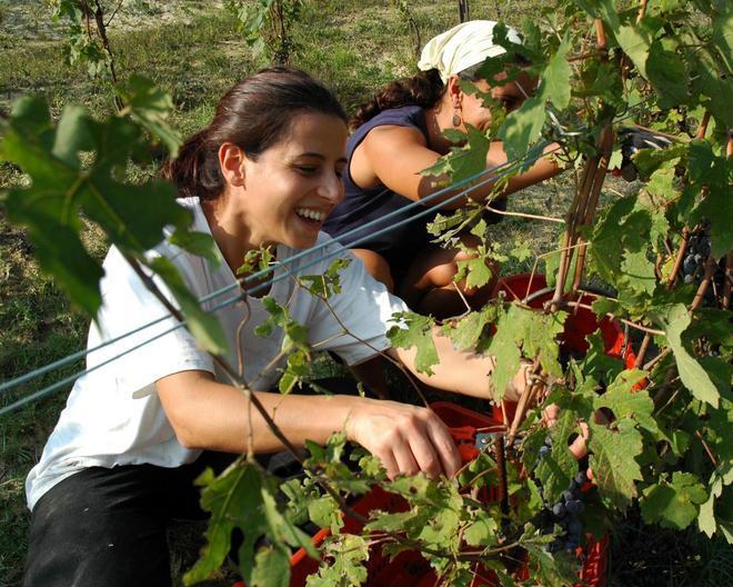 Cinque imprese all’Oscar dell’agricoltura 