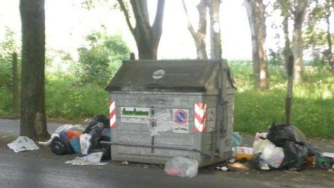 Rifiuti abbandonati sul viale Apua