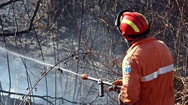 Incendio nel bosco, caccia al piromane