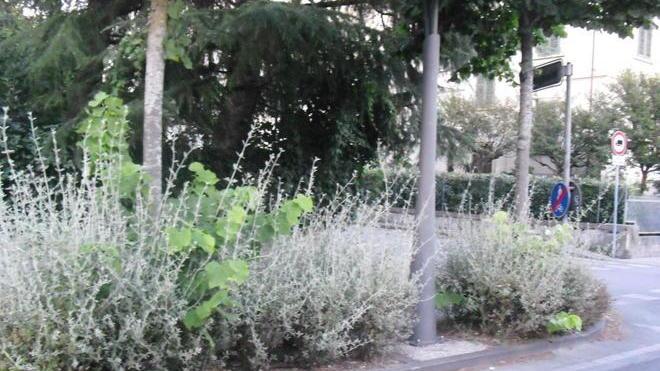 Tombini e incroci “ciechi” Ciclabile-incubo a S. Anna
