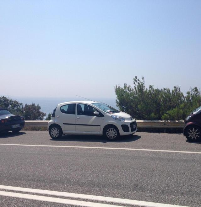 Auto in sosta contromano, multata