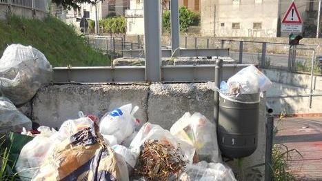 Spazzatura abbandonata nel cuore della Forte vip
