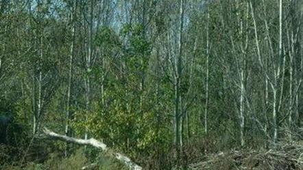 Check up dell’Opera per riqualificare il parco fluviale