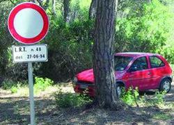 Auto stipate in pineta esposto dei cittadini ma il Comune nicchia 