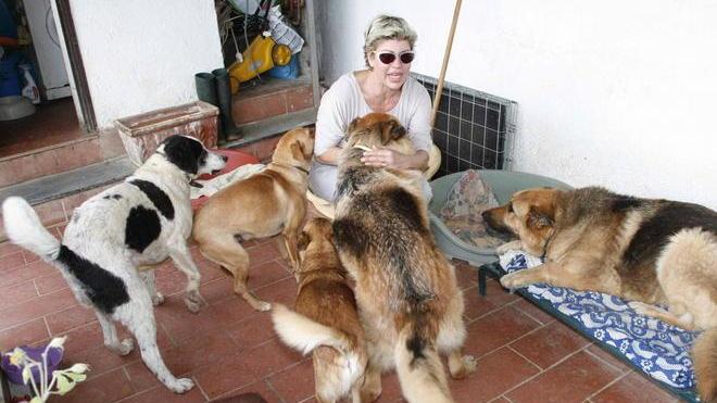 Multa di 500 euro per aver lasciato il cane incustodito