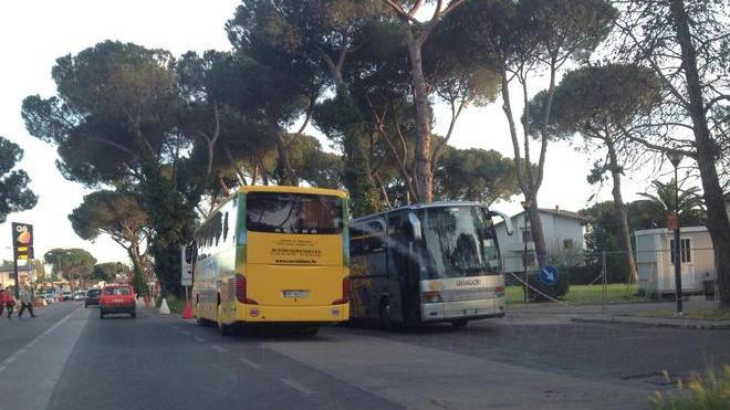 I bus turistici e il parcheggio “a scrocco”