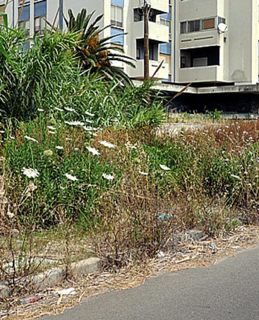 Controlli sulle norme antincendio 