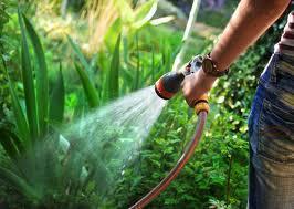 Multe pesanti per chi spreca l’acqua 
