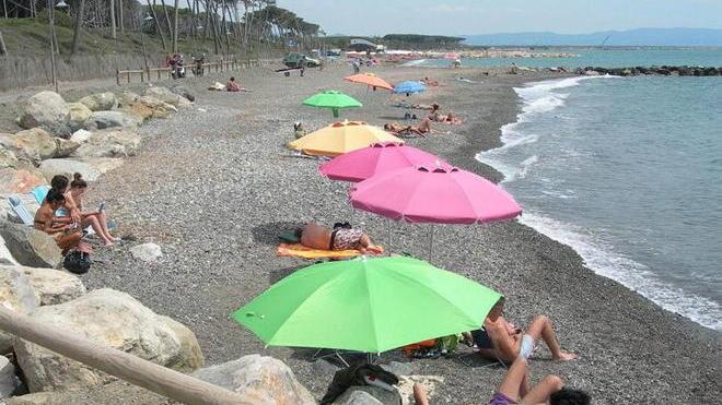 Chisci: «I lavori al porto devastano la costa»