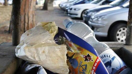 Cestini pieni in pineta e raccolta a singhiozzo