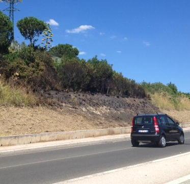 Un incendio di sterpaglie in via della Pace