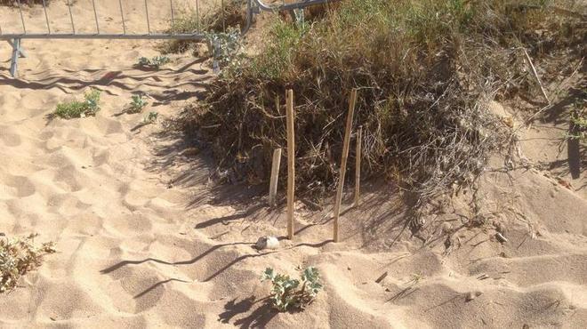 Cala Pischina, trovato ordigno bellico