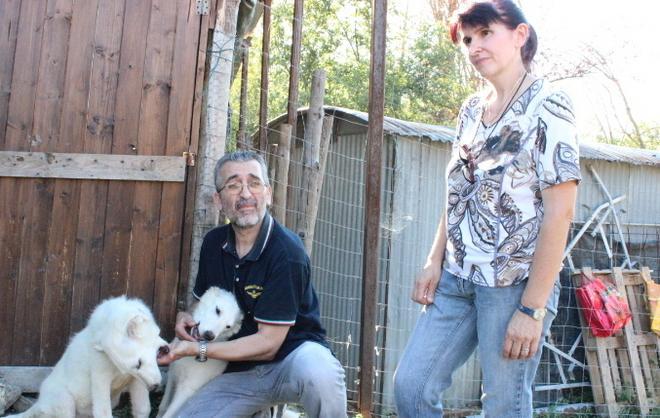 Il primo giorno di Atena e Diana 