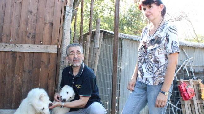 Il primo giorno di Atena e Diana