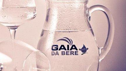 Gaia, rinviata l’assemblea per la nuova presidenza