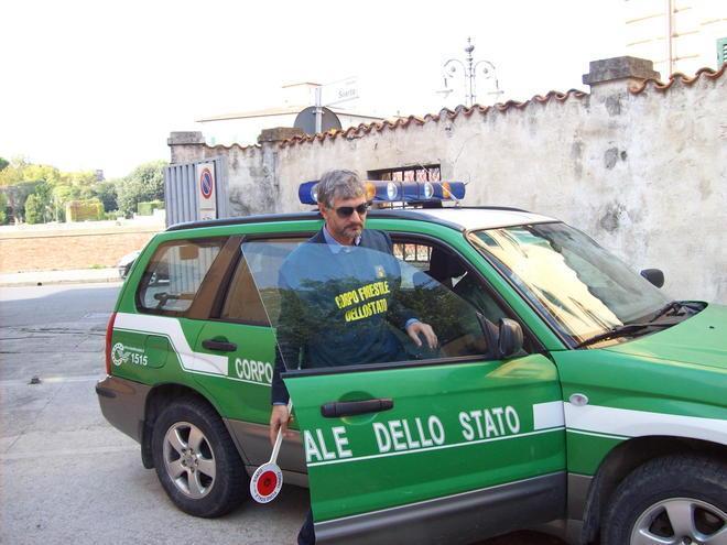 Rubano lentisco nel parco Denunciate tre persone 