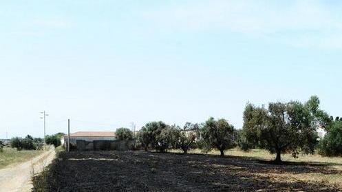 Scappa una scintilla, fiamme al cimitero